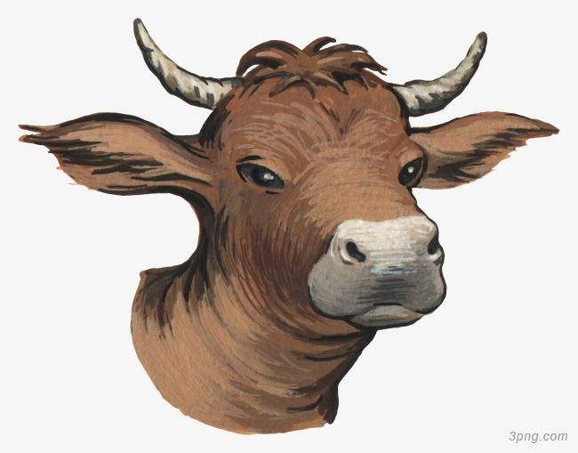 吉林市舒蘭市天德鄉(xiāng)反芻技術交流會圓滿成功！